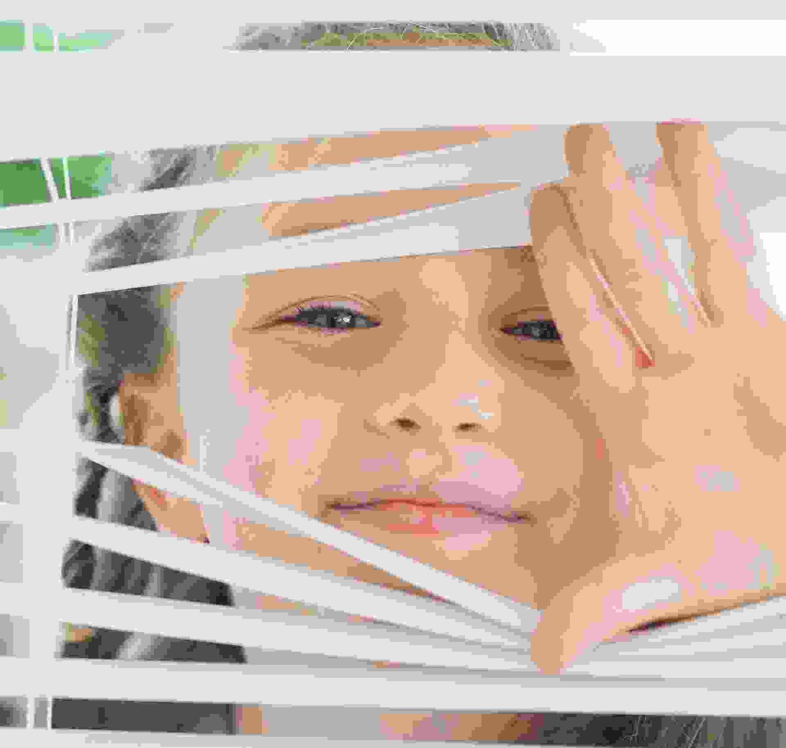 Sunroom Blinds